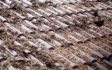 Stone Edge Batch roof cleaning companies